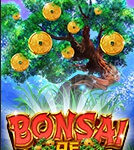 slot bonsai of riches