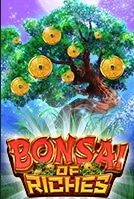 slot bonsai of riches