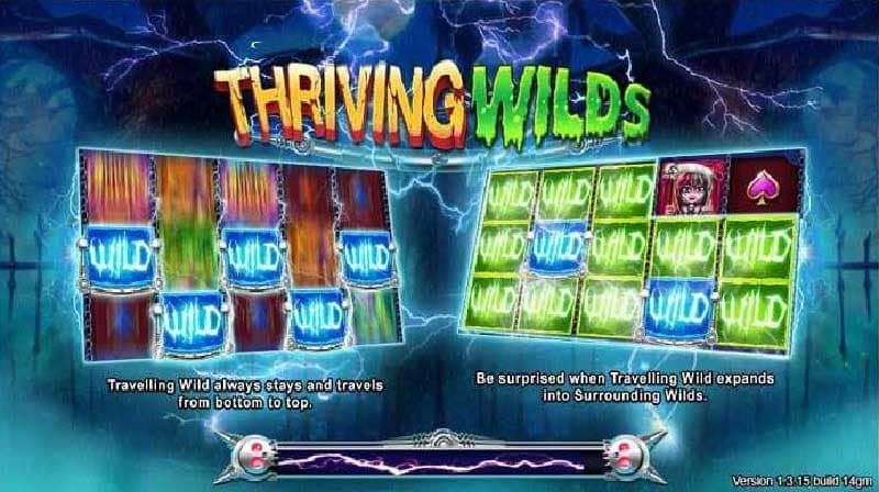 Thriving wild live22