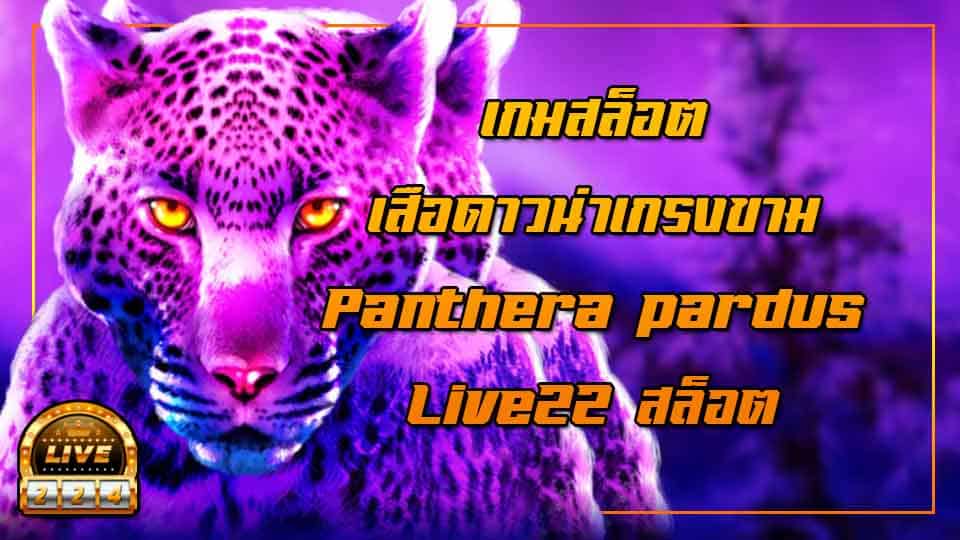 live22 slot panthera pardus