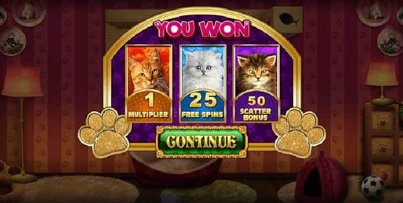 pop kitten live22 slot online