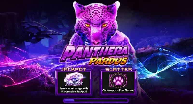 panthera_pardus live22slot